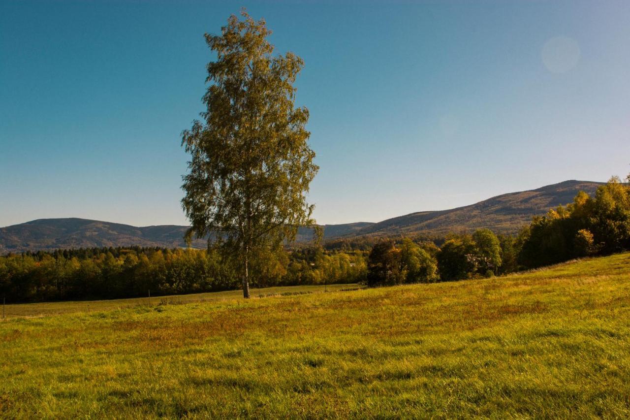 Vila Cicha Ostoja Miłków Exteriér fotografie